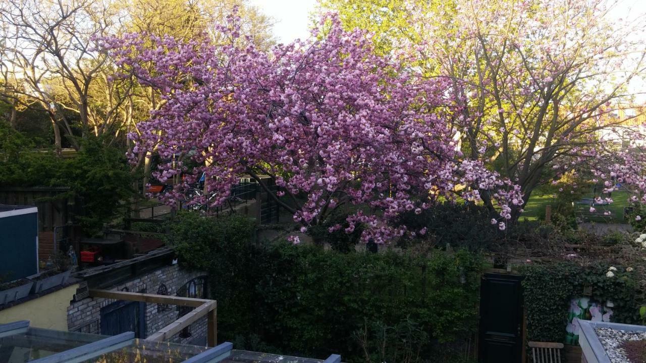 Bed En Broodje Bloem Bed and Breakfast Ντελφτ Εξωτερικό φωτογραφία